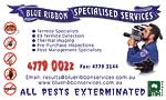 blue ribbon